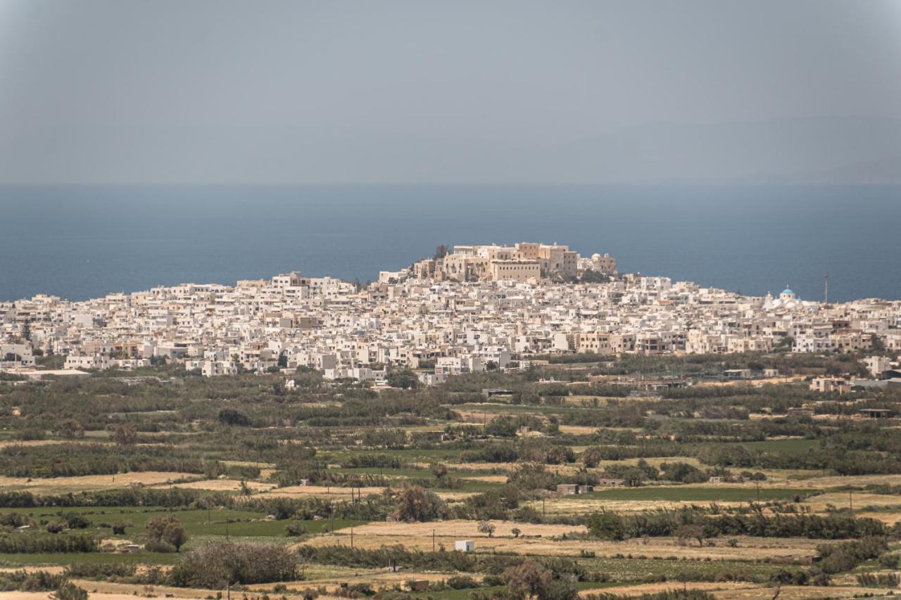 Villa Argo Glinado Naxos Exterior foto